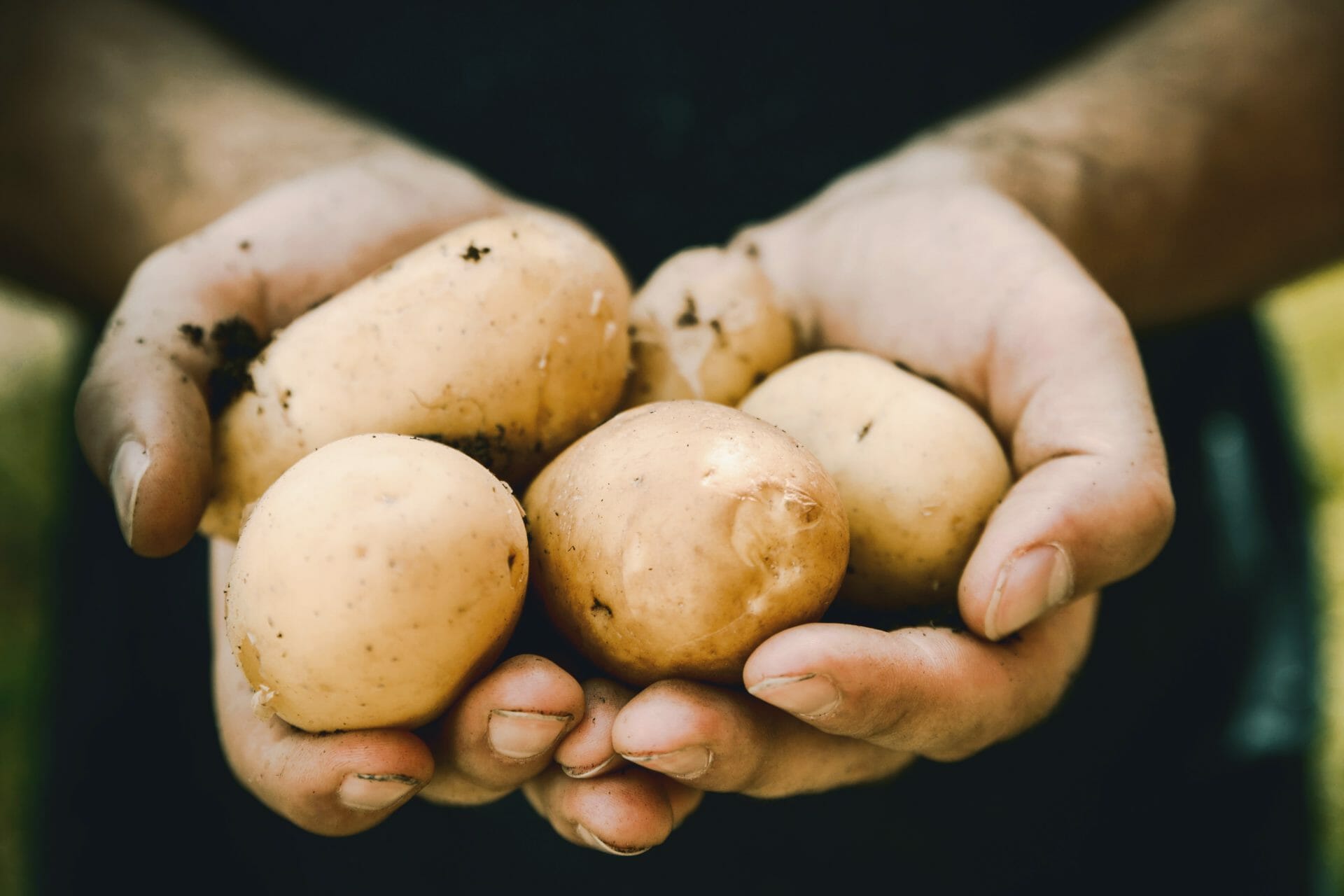 Alimentation raisonnée : définition 